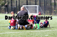 Dartford FC Juniors