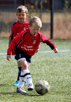 Dartford FC Junior Football