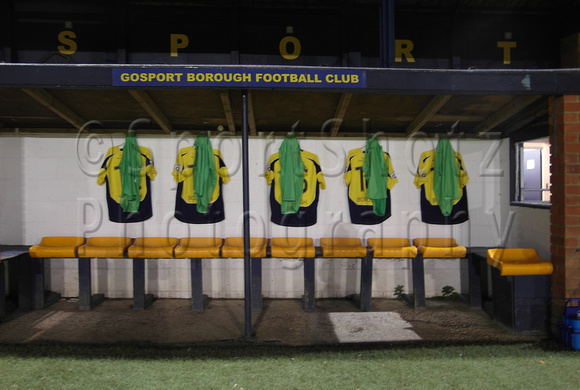 Gosport Borough FC v Dartford, 23 February 2016.