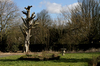 Neglected aspect, English Garden at Danson Park, Bexley.