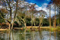 Bog Garden, Danson Park, Bexley.