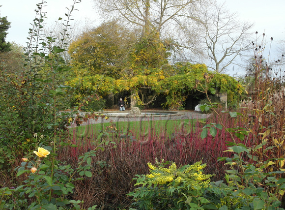 Neglected aspect, English Garden at Danson Park, Bexley.