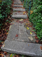 Pathway, English Garden, Danson Park, Bexley.