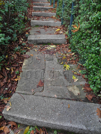 Pathway, English Garden, Danson Park, Bexley.