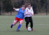 Dartford Girls FC U14 v Meridian Girls, 11 January 2015