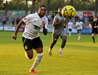 13 August 2024. Dartford hosted Potters Bar Town and lost to a 0:1 (Stephen Crawley 36') after a feisty 90+6.