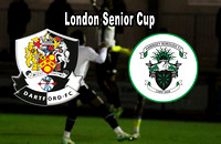 Dartford 1: 2 Haringey Borough in the London Senior Cup