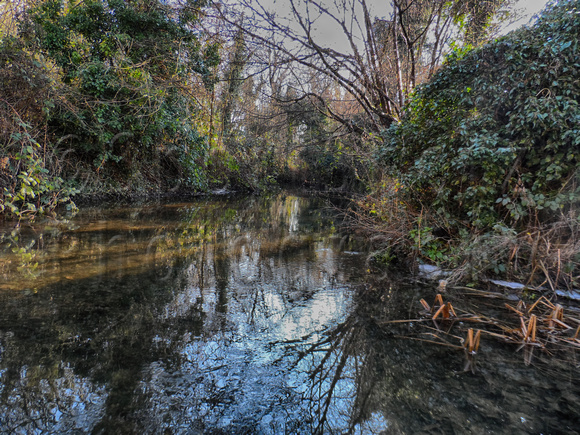 River Darent on a January day 2017