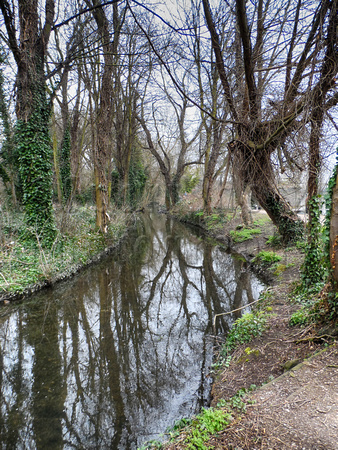 River Darent, March 2018