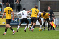 26 December 2024. Boxing Day match Dartford 2 (Olly Box 58', 62') Cray Wanderers 1 (Joshua Williams 29').