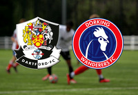 Dartford Reds v Dorking Wanderers