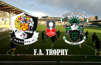 Dartford v Haringey Borough FA Trophy 3rd Round