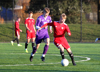 Dartford Whites v Worthing