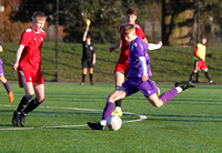 Dartford Whites v Worthing