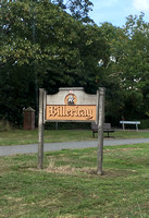 Billericay Town v Dartford