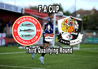 Worthing FC v Dartford, FA Cup 3rd Qualifying Round