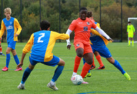 Dartford FC Reds v Barking FC