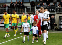 Dartford 0, Dover Athletic 2, so Dover win promotion back to National League South after 2 second half goals.