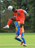 Dartford FC Reds v Barking FC
