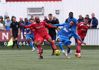 24 August 2024. Carshalton Athletic 0 Dartford 1 (Eddie D'Sane 18') for a good 3 points for The Darts.